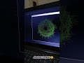 Virus Pattern in Python #correctcoding #computerscience #codeprep #python #pythoncoding
