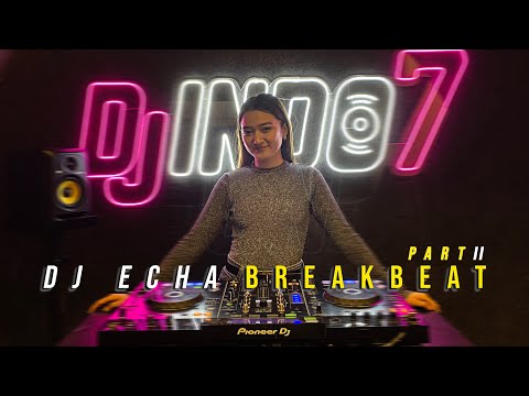 DJ HOT HITS BREAKBEAT 2022 - DJ ECHA PART 2