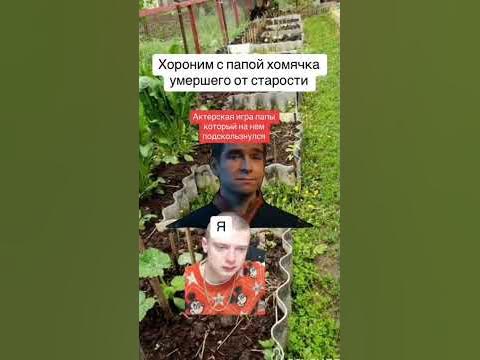 бедный хомяк - YouTube