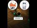 Kok bisa nyala kakinya || Kucing Lucu Paling Ngakak Part 1905 || #funny #shorts #fyp