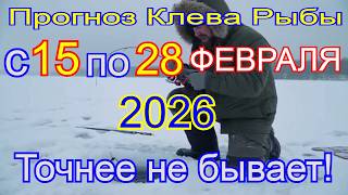 Календарь клева на с 15 по 28 февраля 2026 Прогноз клева рыбы Лунный Календарь рыбака 2026!