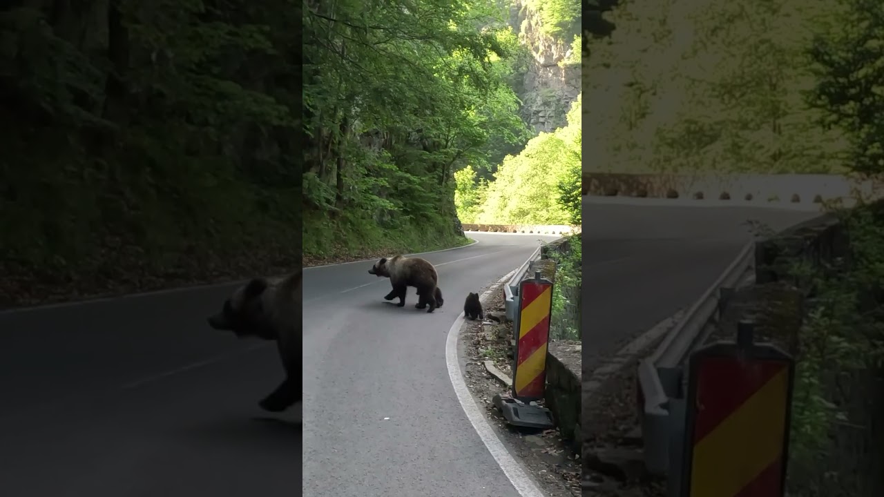 Watch episode 21 in my channel 🔥 Quad route Barcelona – Nepal. Day 21th: Romania III 