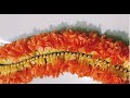 Crossandra flower tying/Firecracker flower/Kanakambaram flower garland bridal veni/Gajra/garland/diy