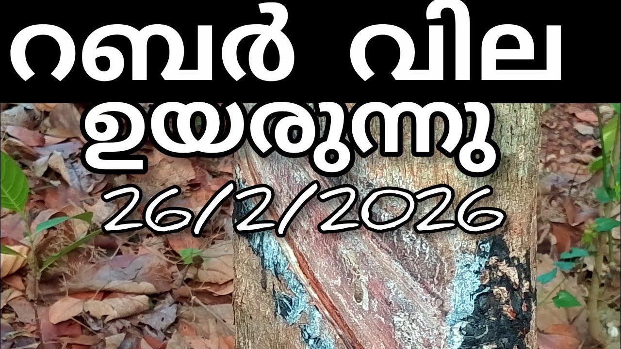 റബർ വില | 26/2/2026 | Sheeja Nediyakkal 