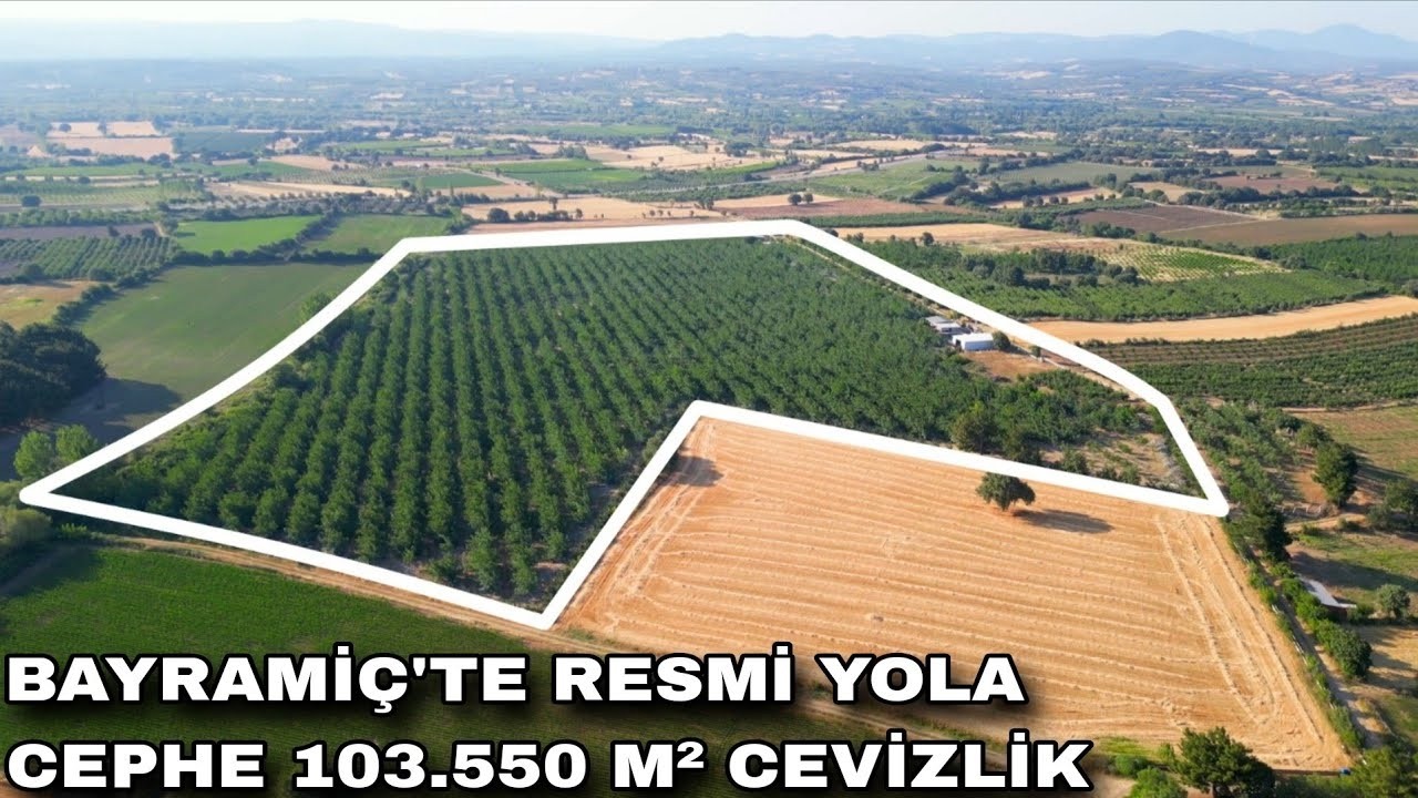 2338- BAYRAMİÇ'TE RESMİ YOLA CEPHE 103.550 M² YETİŞKİN CEVİZLİK