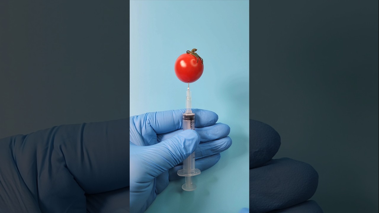 Волшебный Помидор