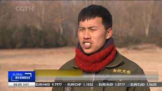 DOGTV(有OC版本)