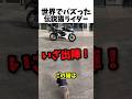 世界でバズった伝説猫ライダー