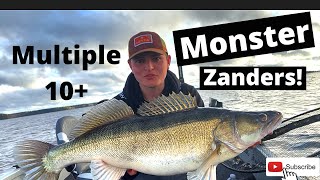 Monster zander!      (Finland part 1)