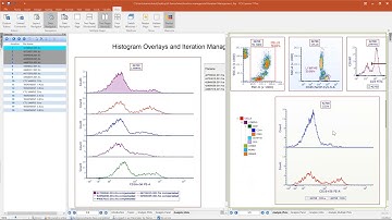 Iteration Management for Batch Processing (2020)