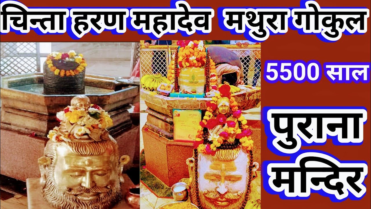 चिंता हरण महादेव गोकुल मथुरा || Chintaharan Mahadev Gokul Mathura || माता यशोदा ने की थी पूजा ||