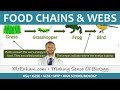 Energy Flow in Ecosystems and Food Chains