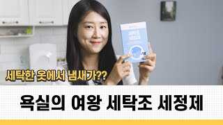 세탁후 꿉꿉한 냄새 저리 비켜 ㅣ와이즈팩토리 욕실의여왕 대용량 세탁조클리너광고포함