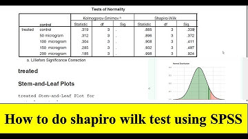 How to calculate normality of distribution | shapiro wilk test using SPSS | BALAN BASIC SCIENCE