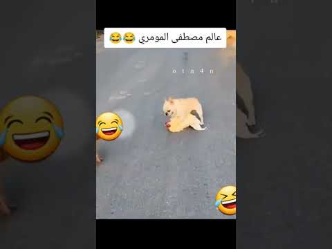 عالم مصطفى المومري اشتراك بالقناة اليصلك كل جديد اكسبلور السعوديه كوميدي ضحك