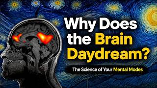 Why We Daydream | The Different Modes of the Brain