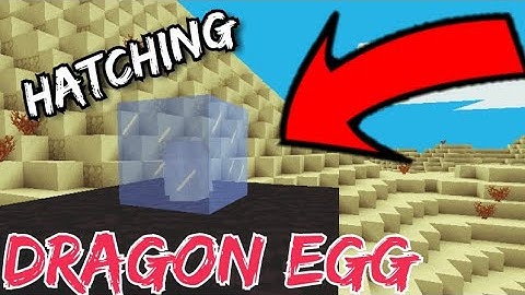 How To Hatch Dragon Egg in MultiCraft!