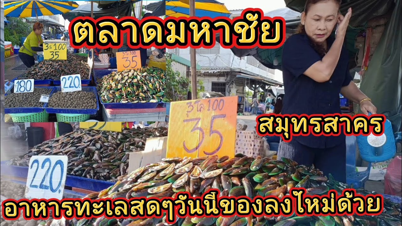 ตลาดมหาชัย | สมุทรสาคร | อาหารทะเลสดๆ หลากหลายของพึ่งลงจากเรือสดๆ | ถูกสะใจ | @NuiOnTour 