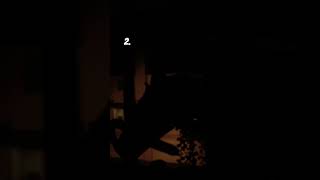 Its A Bit Hard To See But The Main Details Of The Do Are Quite Visible