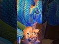 Zootopia 2 Best Action Scene 🔥 | Disney Animated Movie #zootopia #shorts #viral #fyp