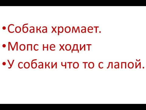 Собака хромает. Мопс не ходит у собаки что то с лапой.
