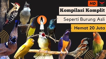 ISTIMEWA‼️ MASTERAN KOMPLIT - KUALITAS HD - DENGAN JEDA❗️