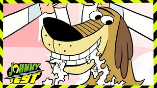 Johnny Test: The Dog Days of Johnny // Johnny&#39;s Pink Plague | Videos for Kids