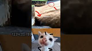 Fill in Blank in Comment #funny #tiktok