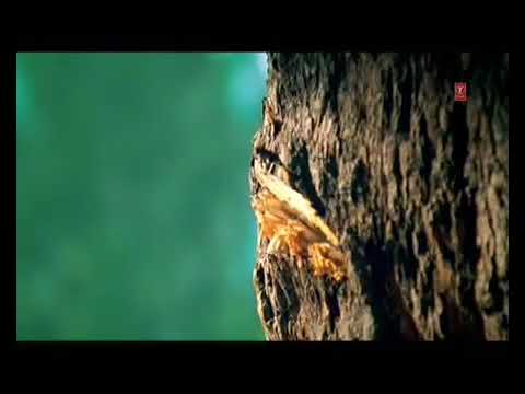 Kudrat de naal pyar kar first time song wali video