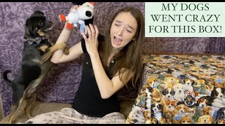 BarkBox Unboxing / December 2020 / Peanuts Box