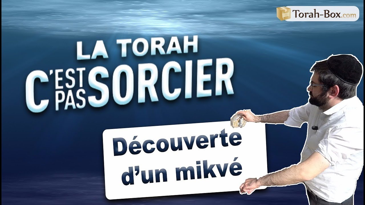 La Torah Cest Pas Sorcier Découverte Dun Mikvé