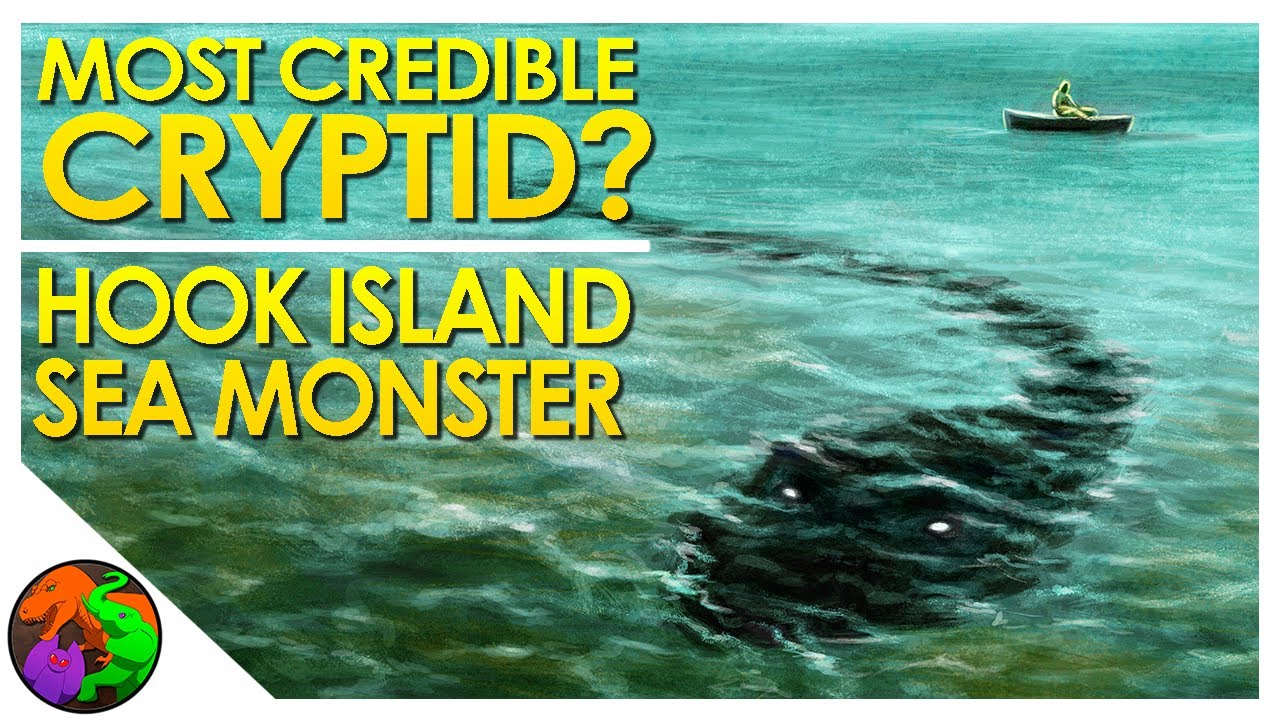 Hook Island Sea Monster | The Most Credible Cryptid?