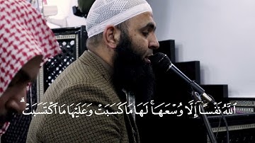 الشيخ هاني حسان || خواتيم سورة البقرة