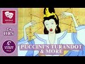 Operavox | Puccinis Turandot | Animated Opera Stories Compilation