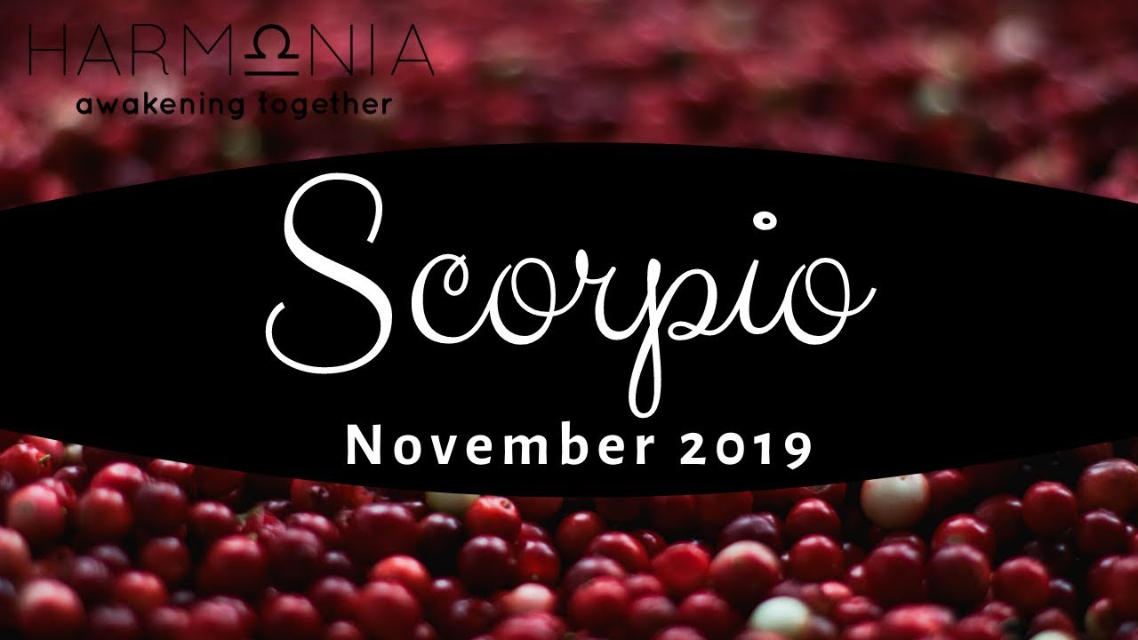 SCORPIO NOVEMBER 2019 TAROT | Getting To Know the Real You! | MONTHLY READING