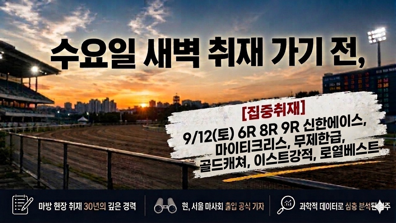 9/9(수) 이번주 집중 취재마를 소개 합니다