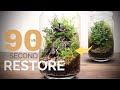 How to restore a one year old terrarium in 90 seconds