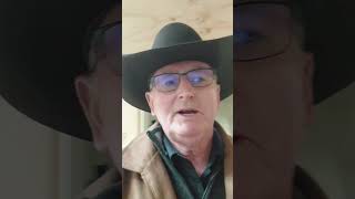 Majors Creek Hotel Auction 31/7