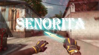 Senorita Csgo Fragmovie