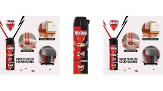 Mortein 2-in-1 Mosquito and Cockroach killer Spray #shorts