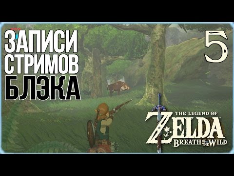 Видео: The Legend of Zelda: Breath of the Wild #5 - Машина Руто и Мифа