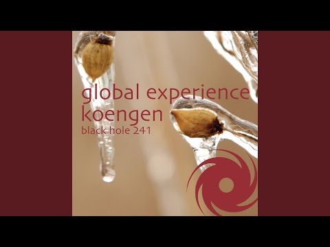 Koengen (DJ Shahs Secundo Vision Radio Edit)