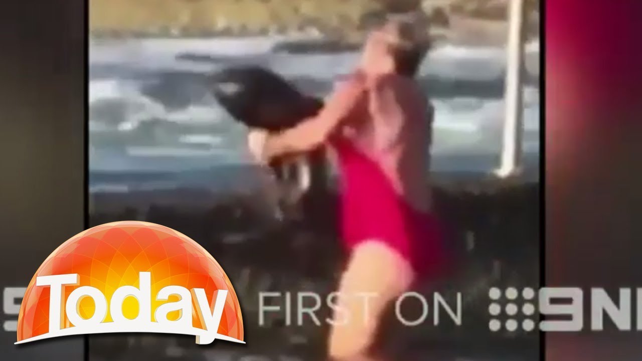 wilkinson社製vs-50 Woman wrestles shark out of swimming pool
