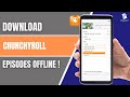 How to Download Crunchyroll Episodes for Offline Viewing (2025) | Android, iPhone &amp; PC Guide