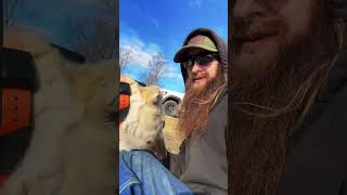 2 different ways to train Livestock Guardian Dogs