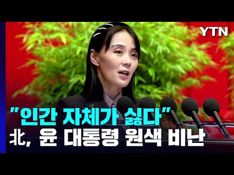 北 김여정, '담대한 구상' 비난..."미사일 발사지점 분석도 틀려" / YTN