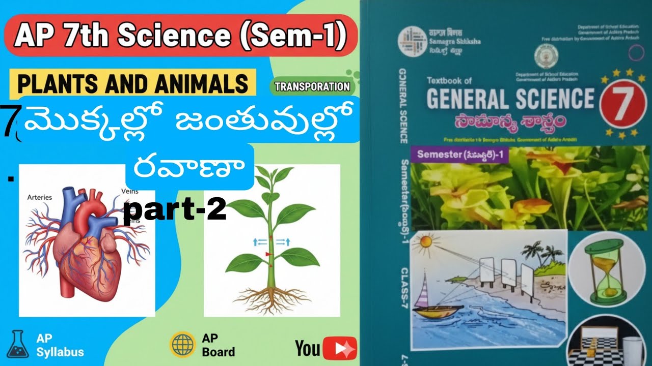 ✍️✍️7.మొక్కలు జంతువులలో రవాణా #7th class General Science (sem 1)