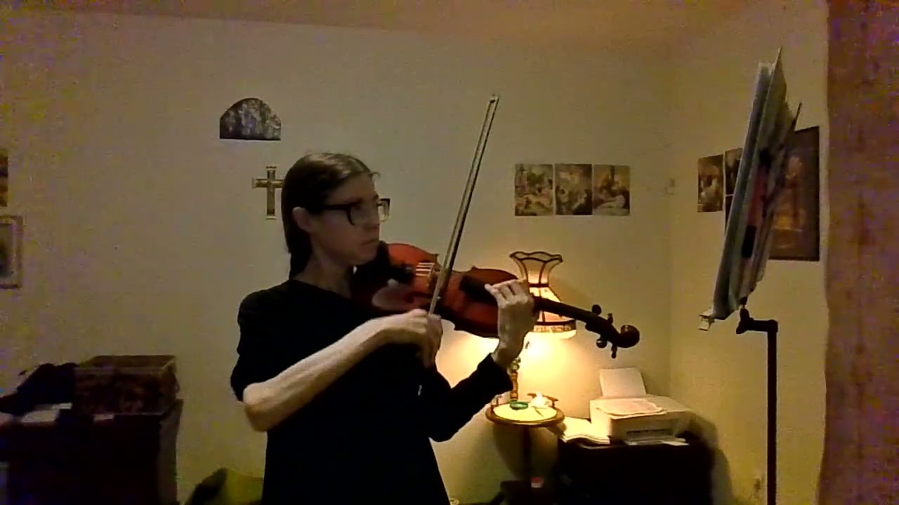 Anna Stafford's violin symphony excerpt: Brahms Symphony #1 in C minor