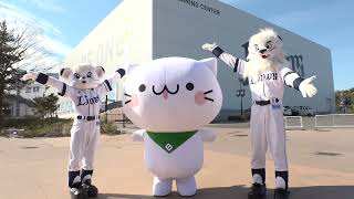 べるーにゃの部屋│カタログ通販ベルーナ