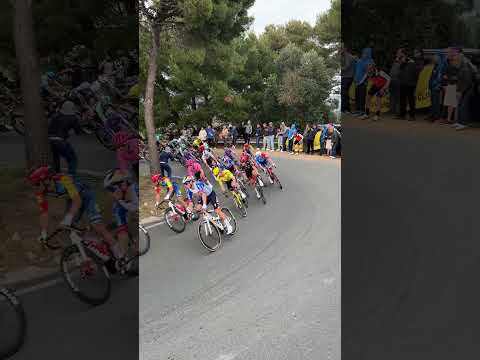 Video Milano-Sanremo, Poga?ar dà spettacolo sulla salita di Cipressa